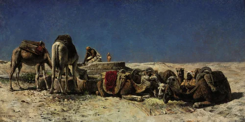 Camelos ao lado de uma cisterna