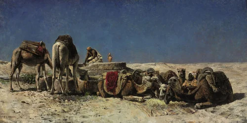 Camelos junto a uma cisterna