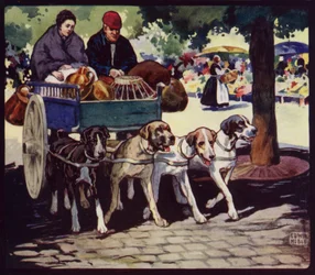 Um Carrinho de Cão Francês (cor litho)
