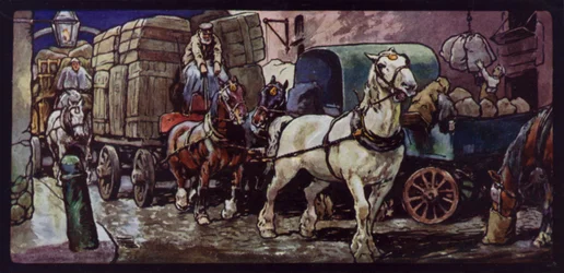 Cavalos Clydesdale no Trabalho