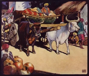 Bulllock-Waggon indiano (cor litho)
