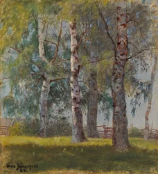 Bétulas