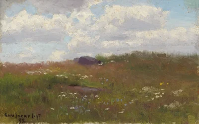 Prado com flores de verão