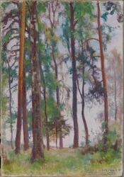 Pinheiros