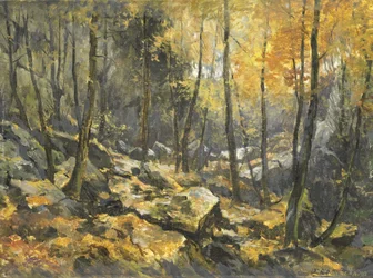 Mar de rochas