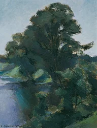 Árvores junto à água
