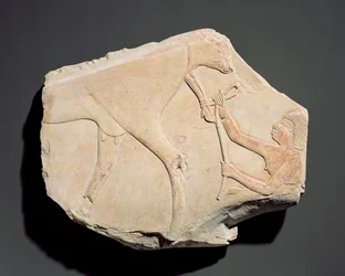 Fragmento de um relevo representando o nascimento de um bezerro, de Asasif, Tebas, Terceiro Período Intermediário (c.1069-664 aC) (calcário)