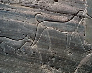 Casal de cães, relevo da entrada, Túmulo de Sarenput II, Túmulos de Príncipes, Qubbet el-Hawa, margem ocidental do Nilo em Assuão, Civilização Egípcia, Reino do Meio, Dinastia XII