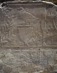 Pormenor da cena comemorativa da expedição à Terra de Punt, Colunata de Punt, templo mortuário da Rainha Hatshepsut, Deir el-Bahari, Necrópole Tebana (Lista do Património Mundial da Unesco