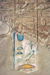 Antiquite egípcia: hyeroglifos coloridos. Túmulo de Kherouef (TT192) (18ª Dinastia
