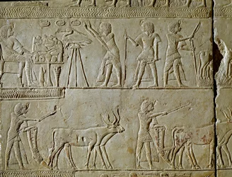 Antiquidade egípcia: cenas de trabalho nos campos e oferendas ao faraó. Detalhe de um relevo do túmulo de Horemhed (cerca de 1323-1293 AC) escriba real de Tutankhamun. 1354-1326 AC. Bolonha, Civico Museo Archeologico