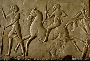 Antiquidade egípcia: "guerreiro a cavalo" Alívio de um túmulo de um alto dignitário. 1354-1346 AC. 18ª dinastia. Bolonha, Civico Museo Archeologico