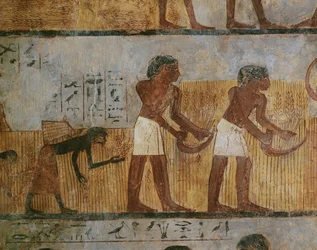 Trabalhadores agrícolas a fazer a colheita (pintura mural)