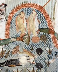 Peixes, detalhe do cenário de caça e pesca nos pântanos, fresco, parede norte, câmara longitudinal, Theban Tomb TT69, Sheikh Abd el-Qurna, Tebas (Lista do Património Mundial da Unesco