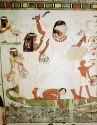Pesca e aves nos pântanos, detalhe da Capela da Tumba de Menna, New Kingdom (pintura de parede)
