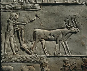 Horemheb a lavrar a terra nos Campos de Iaru. Relevo do túmulo de Horemheb em Saqqara, pormenor.