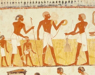 Medindo a terra usando corda, da Capela da Tumba de Menna, New Kingdom (pintura de parede) (veja também 251666)