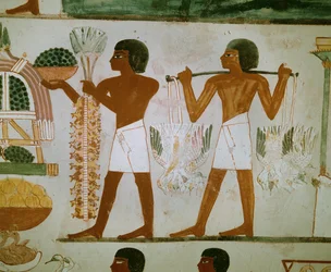 Homens transportam fruta e alimentos para os defuntos