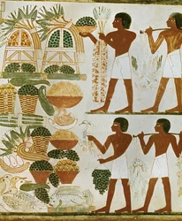 Homens transportam fruta e alimentos para os defuntos