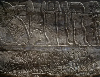 Plantas trazidas da expedição de Tutmés III à Síria em 1465 a.C., pormenor do relevo, salão conhecido como o chamado Jardim Botânico, Templo de Amon, Complexo do Templo de Karnak, Civilização Egípcia, Novo Reino, Dinastia XVIII