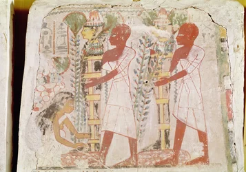 Preparação de duas múmias para a cerimônia de purificação, do túmulo de Merymaat, New Kingdom (pintura de parede)