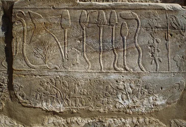 Relevo de animais e plantas oferecido a Amon por Tutmés III no seu regresso da campanha da Síria em 1465 a.C., Sala do Jardim Botânico, Karnak, Necrópole Tebana, Luxor, Egipto, Novo Reino, Dinastia XVIII