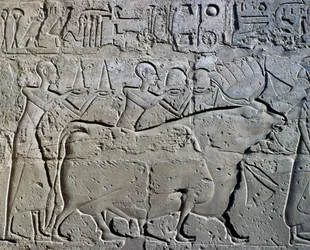 Personagens que simbolizam distritos mineiros trazendo os seus tributos ao deus, relevo, Pátio de Ramsés II, Templo de Amon (Lista do Património Mundial da Unesco