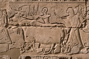 Detalhe de um relevo representando homens conduzindo uma vaca, pátio Ramesses II (1298-32 a.C.) (calcário)