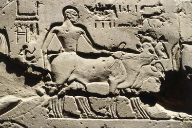 Egito Antigo, Luxor, Templo de Luxor, Pátio de Ramsés II, relevo, Novo Reino, Dinastia XIX (1290-1224 a.C.)