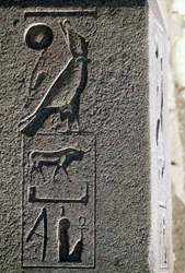 Hieróglifo com o nome de Hórus, Grande Templo de Amon, Tanis, Egito, Novo Reino, Dinastia XIX