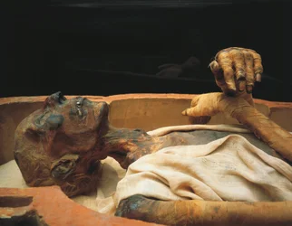 Múmia de Ramsés II, pormenor