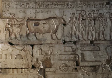 Relevo, Templo de Ramsés II, Abydos, Egipto, Civilização egípcia, Novo Reino, Dinastia XIX (foto)