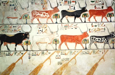 As sete vacas celestes, o touro sagrado e os quatro lemes do céu, do túmulo de Nefertari, Novo Império