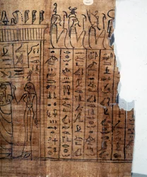 O Livro dos Mortos: hieróglifo egípcio num papiro da XXII dinastia. Pormenor. Século IX a.C. Turim, Museu Egípcio.