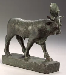 Touro Apis, Período tardio