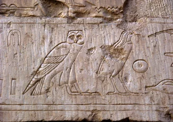 Antiguidade egípcia: alívio representando uma coruja e uma águia. Tumba de Ankh-Hor (Ankh Hor) (TT414) (26ª Dinastia, 672-525 AC), Luxor (Tebas), Egito