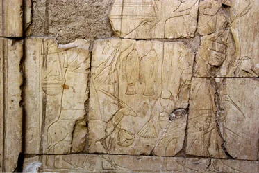 Antiguidade egípcia: alívio representando os portadores de ofertas. Túmulo de Ankh-Hor (Ankh Hor) (TT414) (26ª Dinastia, 672-525 AC), Luxor (Tebas), Egito