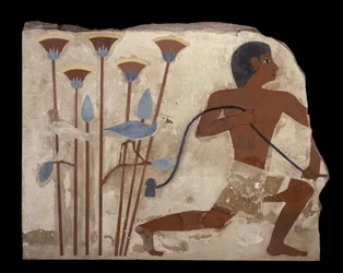 Bird Snaring, alívio do túmulo de Nefermaat, Old Kingdom, c.2620 aC (relevo de estuque pintado)