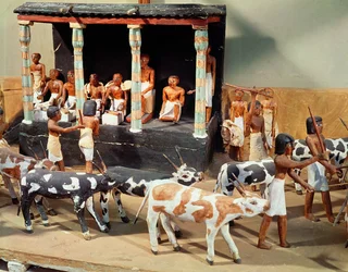 Modelo funerário de um censo do gado, do túmulo de Meketre, Tebas, Reino do Meio, c.2000 aC (madeira pintada) (detalhe)
