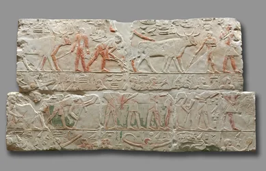 Relevo de cenas agrícolas, de Saqqara, c.2311-2281