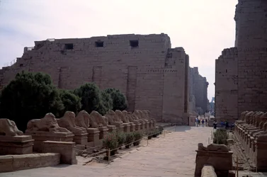 Antiquite egípcia: alee (dromos) da criosfinge (esfinge à cabeça dos crentes) em Karnak, Luxor, Egipto