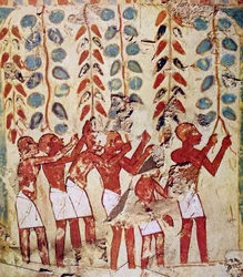 Pintura mural de túmulo egípcio