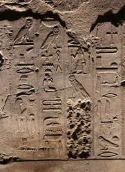 Hieróglifos. Templo de Luxor (relevo)