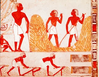 Cena de colheita no Antigo Egito, fresco