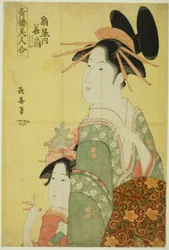 Hanaogi do Ogiya, da série "Belezas dos Bairros do Prazer (Seiro bijin awase)"