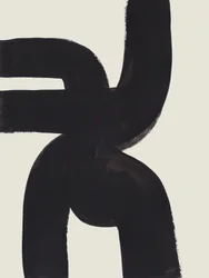 Curvas Negras Orgânicas