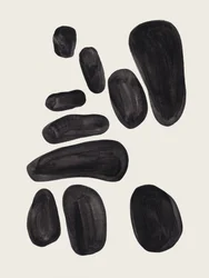 Formas Negras Orgânicas