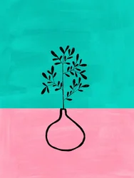 Vaso botânico rosa e azul-petróleo