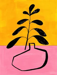Planta em vaso com cores vivas
