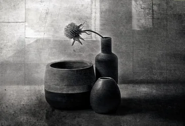 Embarcações «Moody Thistle»